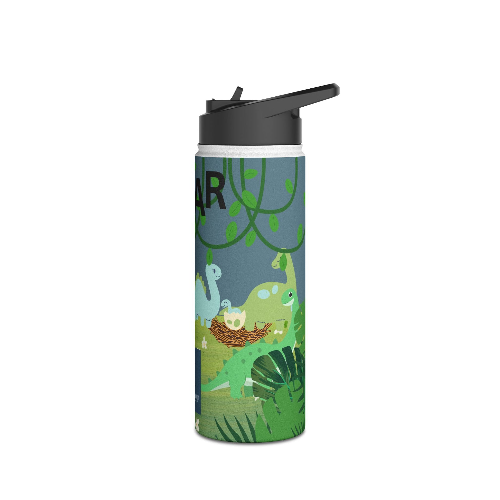 Blue Dinosaur stainless steel bottle .   Ready for Back to School.