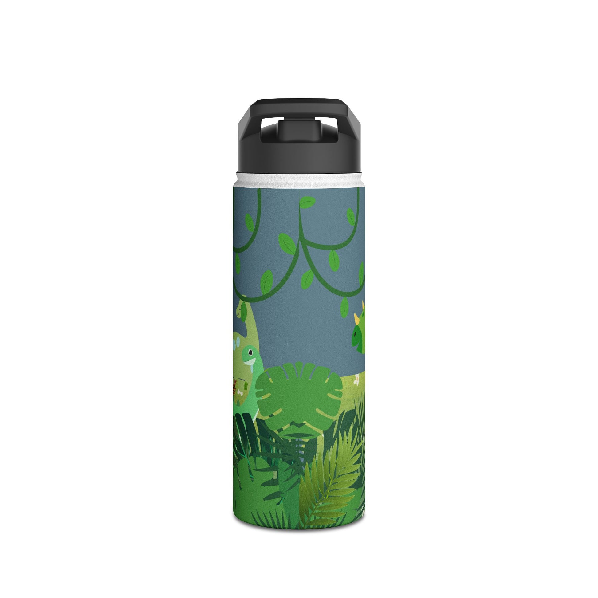 Blue Dinosaur stainless steel bottle .   Ready for Back to School.