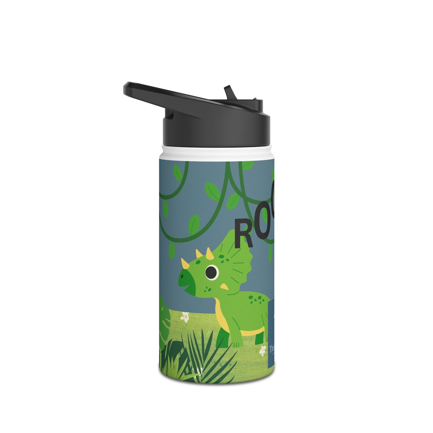 Blue Dinosaur stainless steel bottle .   Ready for Back to School.