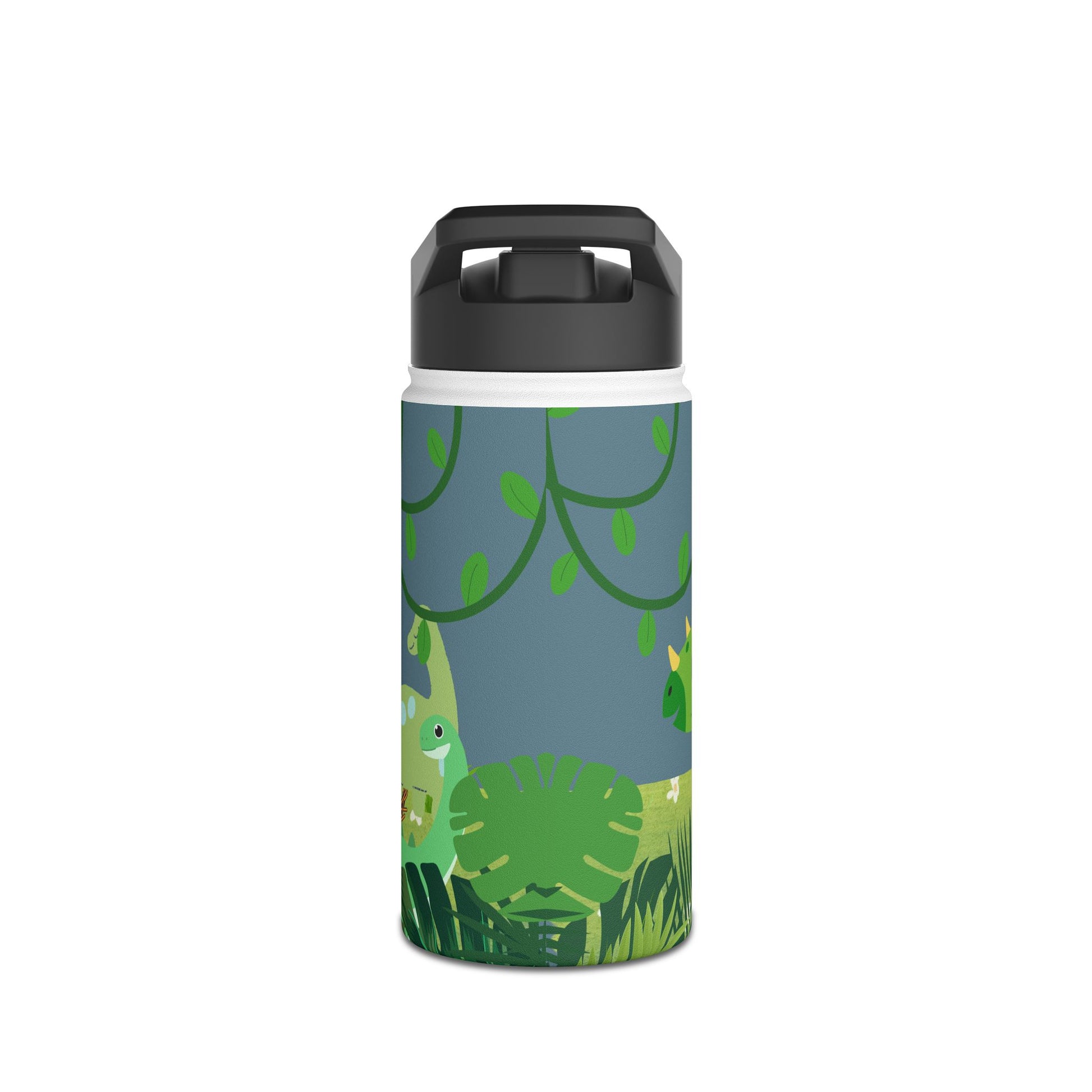 Blue Dinosaur stainless steel bottle .   Ready for Back to School.