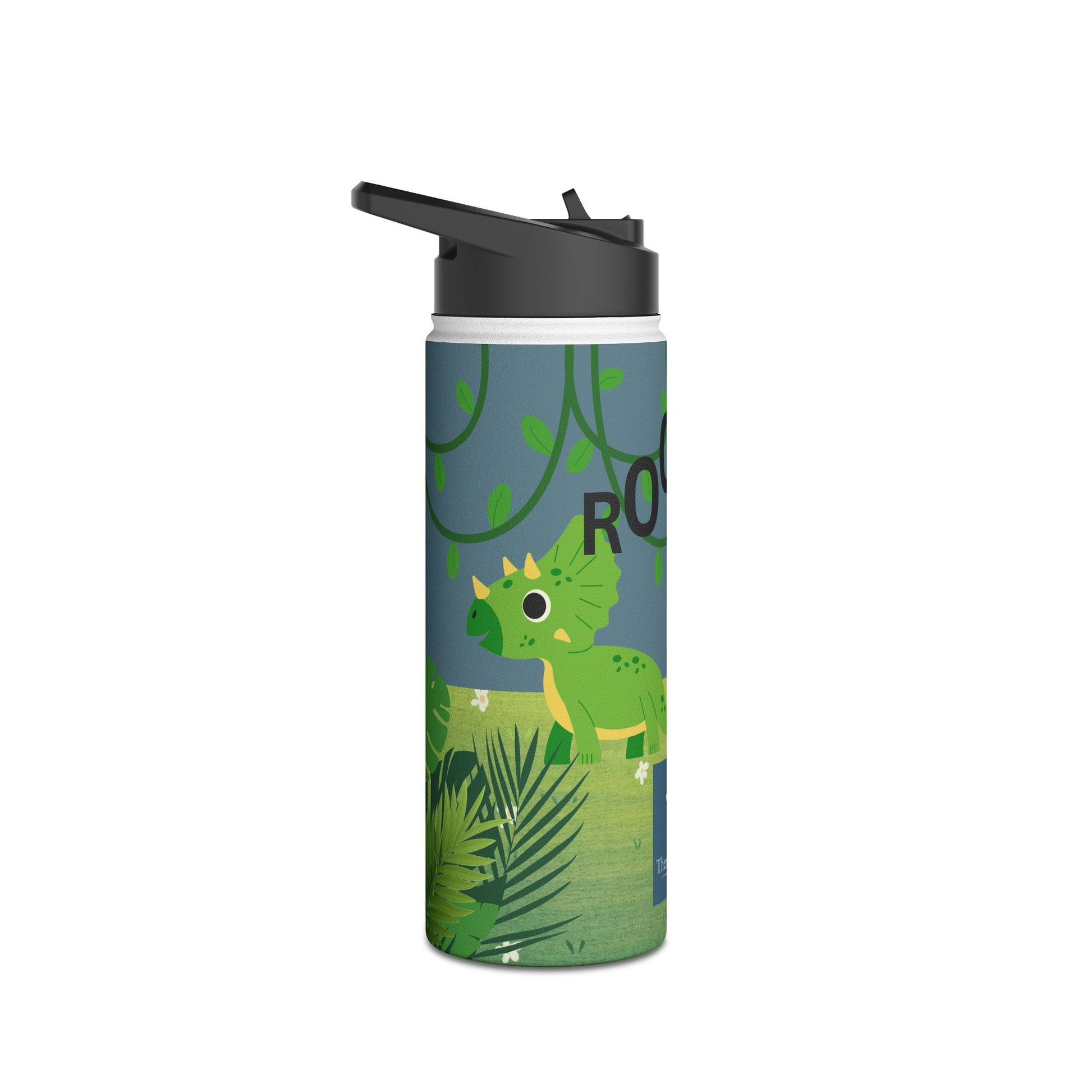 Blue Dinosaur stainless steel bottle .   Ready for Back to School.